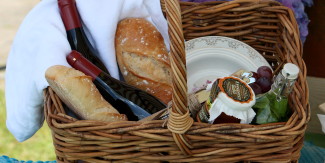 Picknicken in de wijngaard!