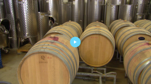 BinnensteBuiten op Betuws Wijndomein -Wijn en alc. vrij bubbels