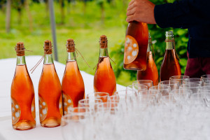 Receptie met of zonder mousserende wijnen ikzegja_20150912_0518