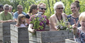 Betuws Wijndomein Bloemplukdag 2017