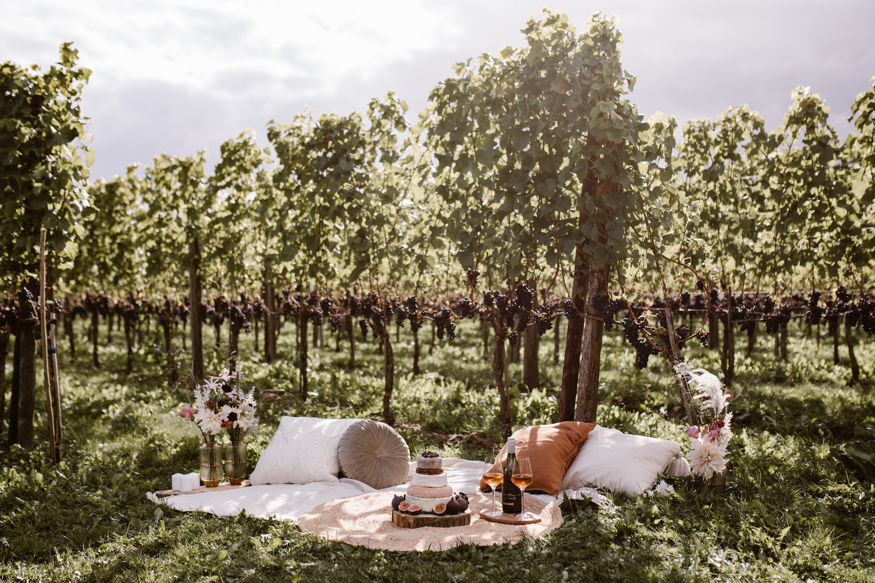 Romantische picknick in de wijngaard voor 2