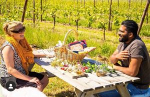 Picknick in de wijngaard