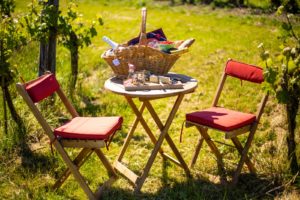Picknick in de wijngaard
