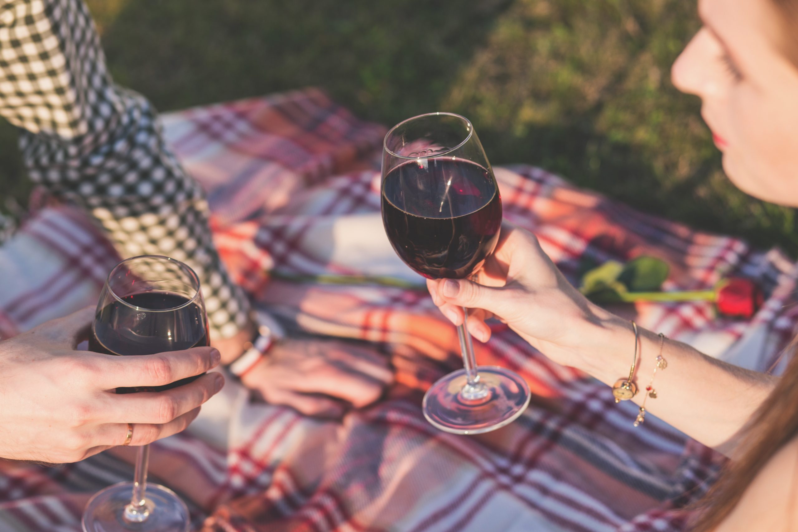 picknick met Nederlandse wijn in de wijngaard in de betuwe