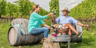 Picknicken in de wijngaard