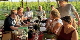 SDEN 3 – Wijngaard Editie Gevorderd!